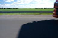 Z D11